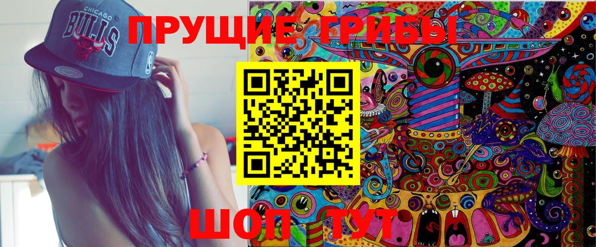 Галлюциногенные грибы GOLDEN TEACHER  цены наркотик  Галлюциногенные грибы Psilocybe  Александров  Вход с VPN 